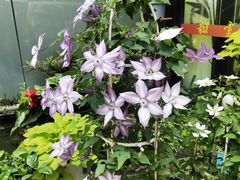 -方荣糊涂菜馆(湖北路店)