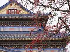 -广州中山纪念堂
