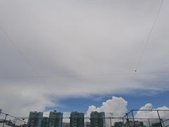 -君成体育|网球培训(蛇口校区)