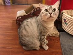 -H立方实景剧情密室(天河旗舰店)
