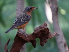 -苏州河梦清园环保主题公园