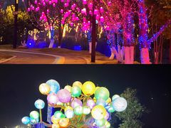 -黄龙溪欢乐田园