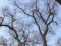 -南京金牛湖风景区
