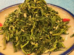 清香枸杞苗-国强手抓(西夏区店)