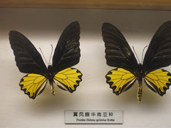 -青藏高原自然博物馆