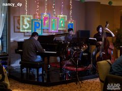 乐队-岷山饭店-芝芝自助餐厅