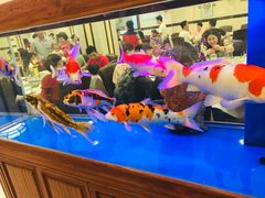 -新塘畔酒楼(里水大道北店)