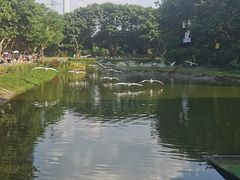 -广州长隆飞鸟乐园