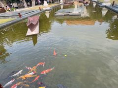 -三亚海棠湾万丽度假酒店