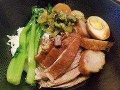 -MR鹅外