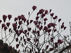 -迎泽公园