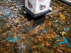 -盒马鲜生(皇庭广场店)