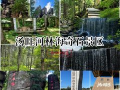-汤旺河林海奇石景区