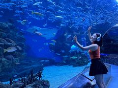 -海合安成都极地海洋公园