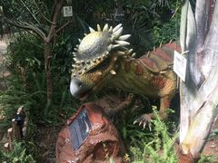 -呀路古热带植物园
