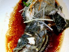 龙胆鱼-海蓝海鲜馆(五四北店)