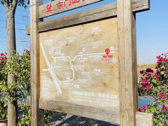-池杉湖湿地公园