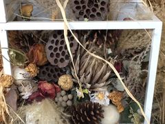 -植物学家的女儿(北马道巷店)