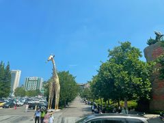 -海驴岛(荣成市)