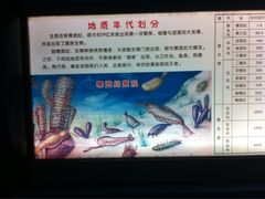 iphone_upload_pic-上海昆虫博物馆