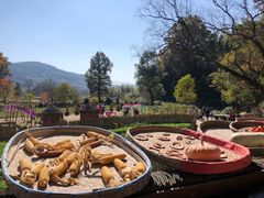 -塔川景区