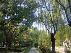 -元大都城垣遗址公园