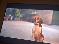 -良子足浴(湖滨店)