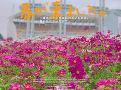 -海心沙亚运公园