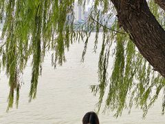 -武昌江滩