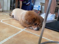 -众膳卤肉面(才子中心店)