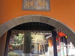 -灵谷景区