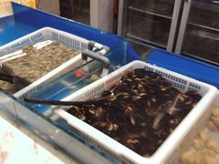 -星伦多自助料理(永旺店)