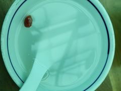 -树厨贵州菜(花果园购物中心店)