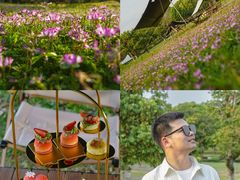 -福建鲤鱼洲酒店