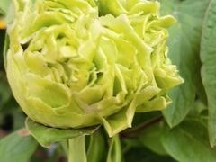 -瓦库茶馆17号(海汇港店)