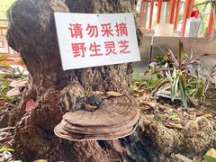 景观位-香山家宴