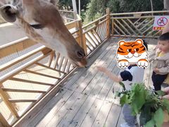 -泉州海丝野生动物世界