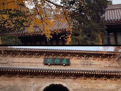 -灵谷景区