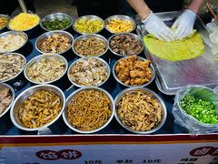 -光明港公园