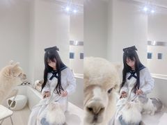 -怪兽屋·羊驼·猫咖·狗咖(俊华广场店)