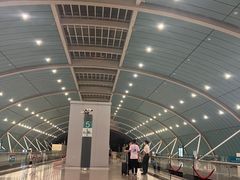 -龙阳路磁悬浮列车总站-停车场