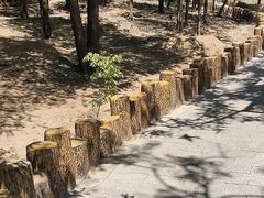 -白水寺森林公园