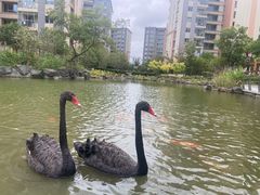 -梧桐人家中国太平国际健康颐养社区