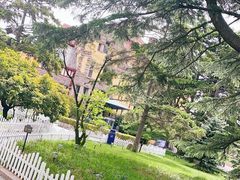 -青岛德国总督楼旧址博物馆