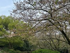 -中国茶叶博物馆(双峰馆区)