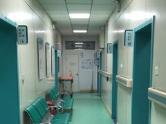 -北京观赏动物医院·24小时大型综合·猫专科·异宠专科