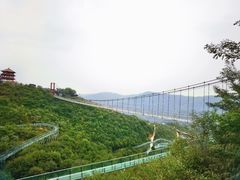 -铜川市金锁关石林