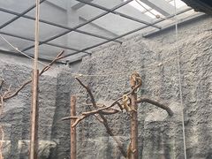 -武汉动物园