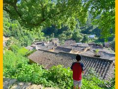 -杨家堂村