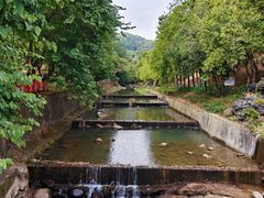 -广州白江湖森林公园